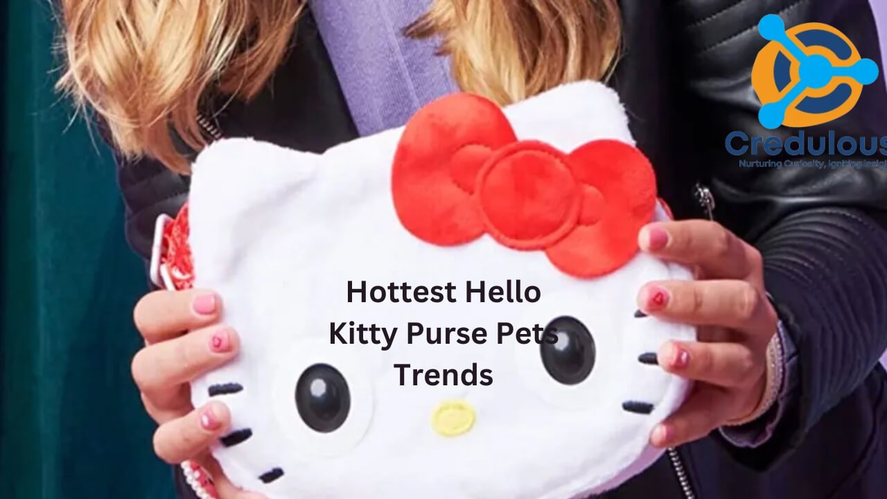 Hottest Hello Kitty Purse Pets Trends